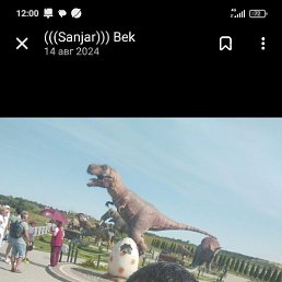 , 29, 