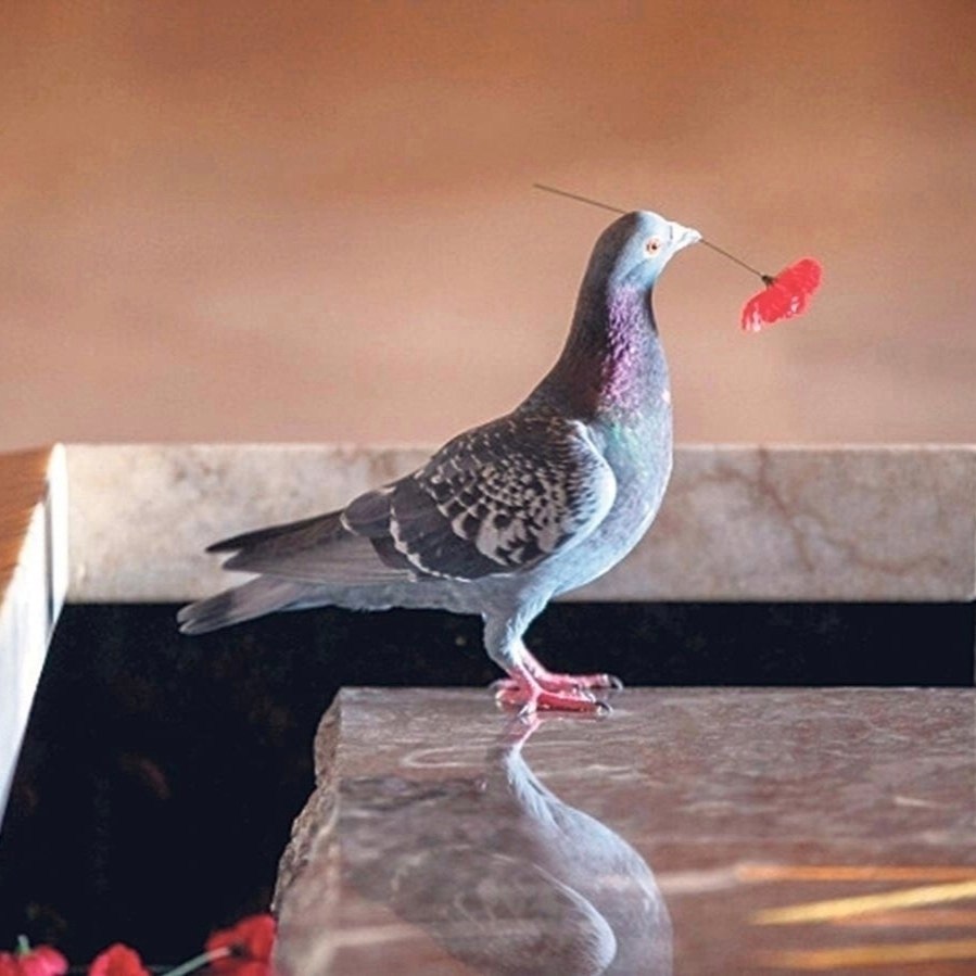 � ������� ������ � ��������� ������ �������� ������������ ��������� �� �������� �����, ���������� ... - 2