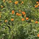 ���� �����, �����������, 59 ��� - ��������� 30 ���� 2025 � ������ ���� ����������