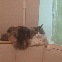 ���� ������, ������, 49 ��� - ��������� 3 ����� 2025