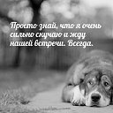  , , 41  -  1  2024