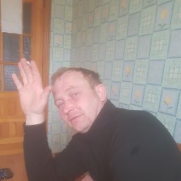 �����, ������, 40 ���