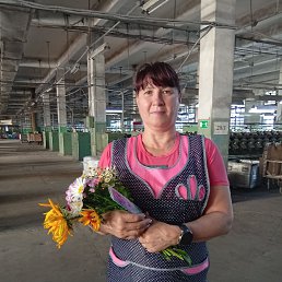  , 54, 