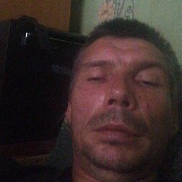 ,  , 41 