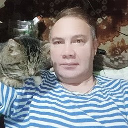 , 53 , 