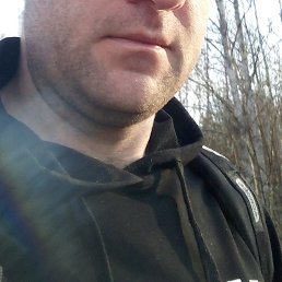 ��������, ����������, 39 ���