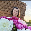 ���� ����, �������, 56 ��� - ��������� 29 ���� 2024 � ������ ���� ����������