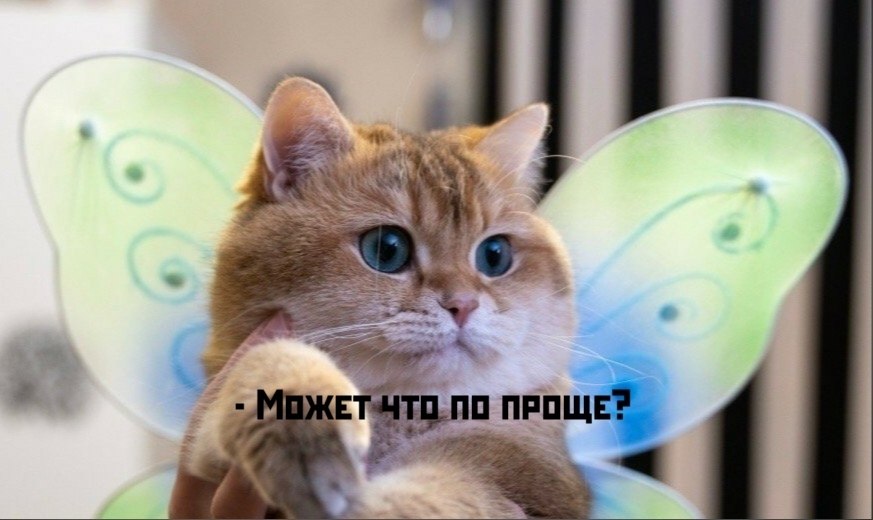       - 15  2025  13:37 - 2