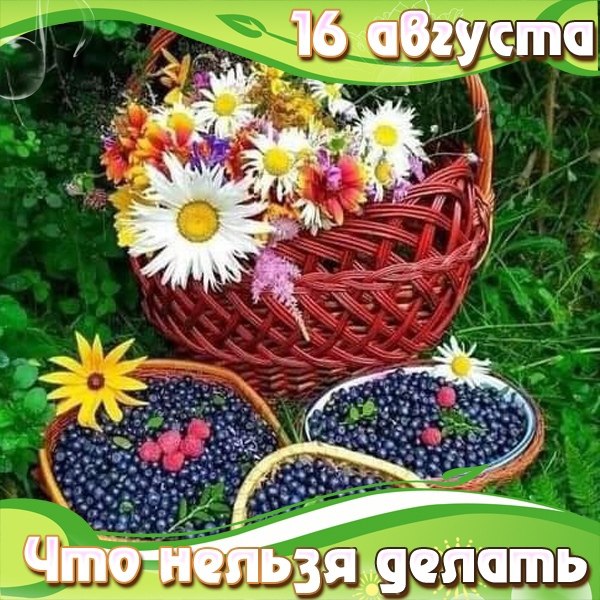 ЧТО НЕЛЬЗЯ ДЕЛАТЬ 16 АВГУСТА.На Антона Вихревея ни в коем случае нельзя делать уборку в доме и ...