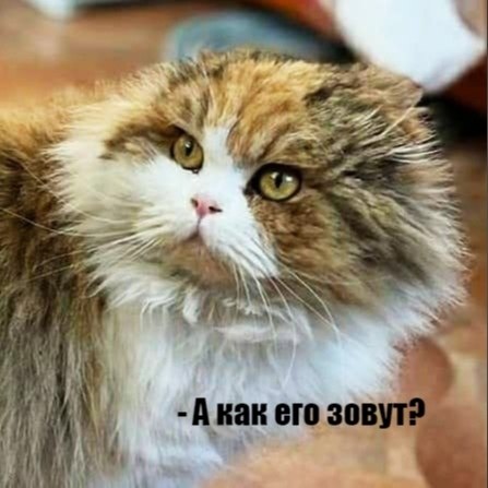 ��� ���� � ����� �� �� - 17 ����� 2026 � 21:30 - 5