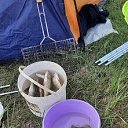 ���� �������, ����������, 66 ��� - ��������� 27 ������� 2024 � ������ ���� ����������