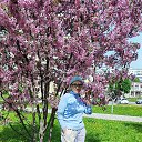 ���� Dzhammilia, ������ - ��������� 16 ��� 2026