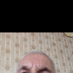 , 59, 