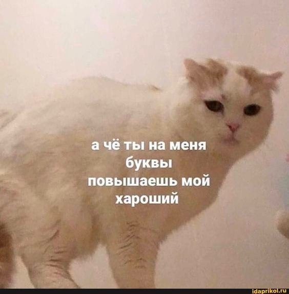    - 27  2024  08:13