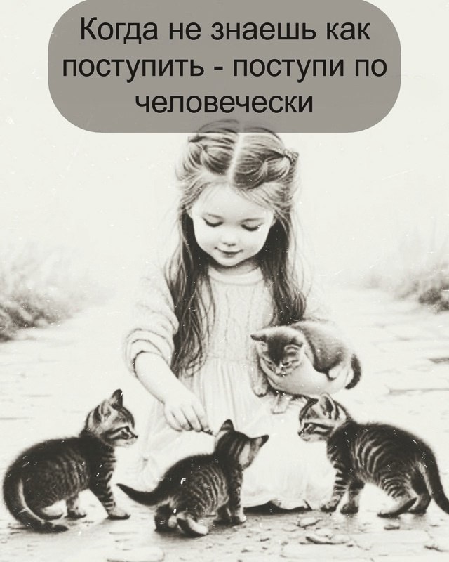  - 6  2025  11:44