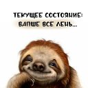 ���� �����, ���������, 43 ���� - ��������� 5 ��� 2026 � ������ ���� ����������