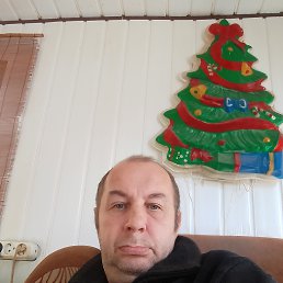 ˸��, 46 ���, ������