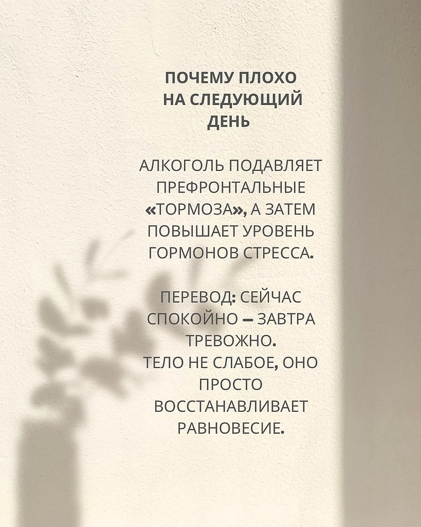    ,  .  ,  ,      , ... - 3