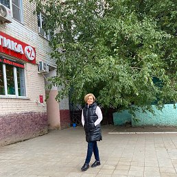 �����, ���������, 56 ���