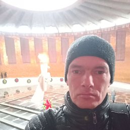 ��������, 41 ���, ������