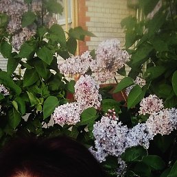 , 49, 