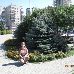 , 50, 