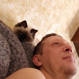 ���� ������, ����������, 42 ���� - ��������� 7 ������� 2024