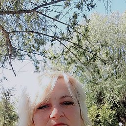 , 50, 