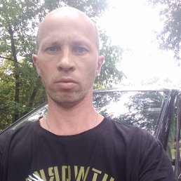 , 42, 
