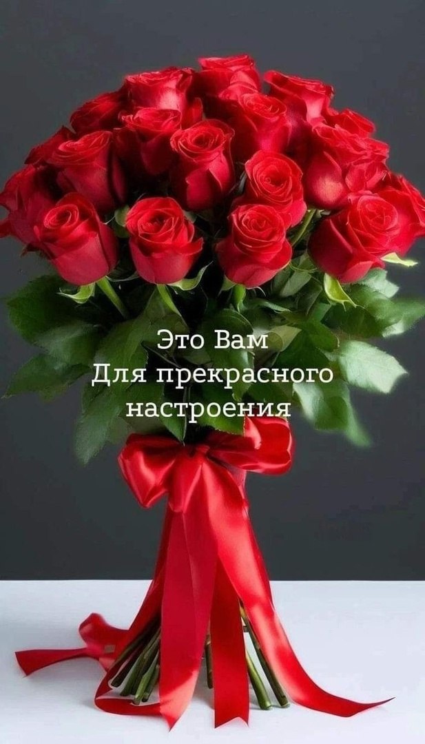  - 5  2025  16:36