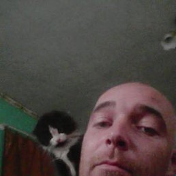 , 41, 