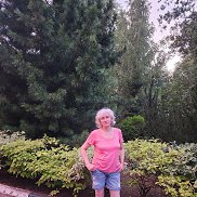 , 60 , 