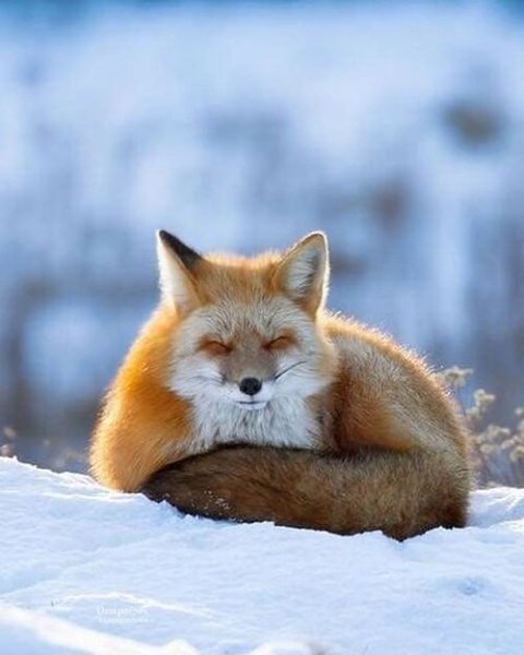 ������ ��� � ��� ������ - 3