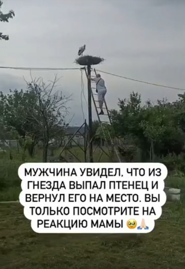   .    ,     .   ...