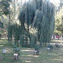 ���� Nadin, �������, 60 ��� - ��������� 11 �������� 2025 � ������ ���� ����������