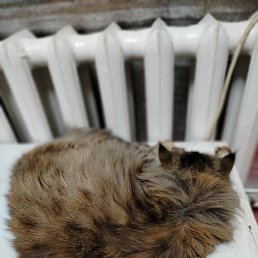 ���� ������, �������, 18 ��� - ��������� 24 ������ 2026