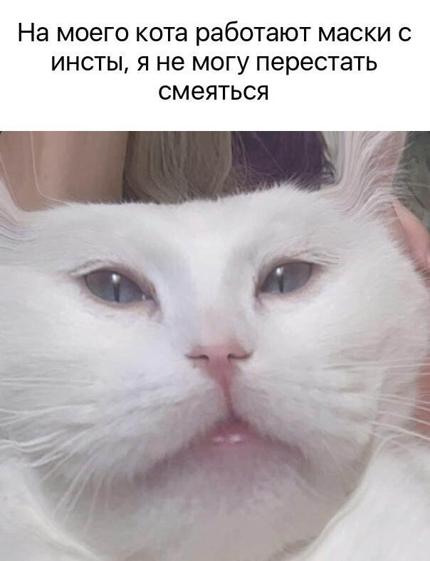    - 9  2024  04:12