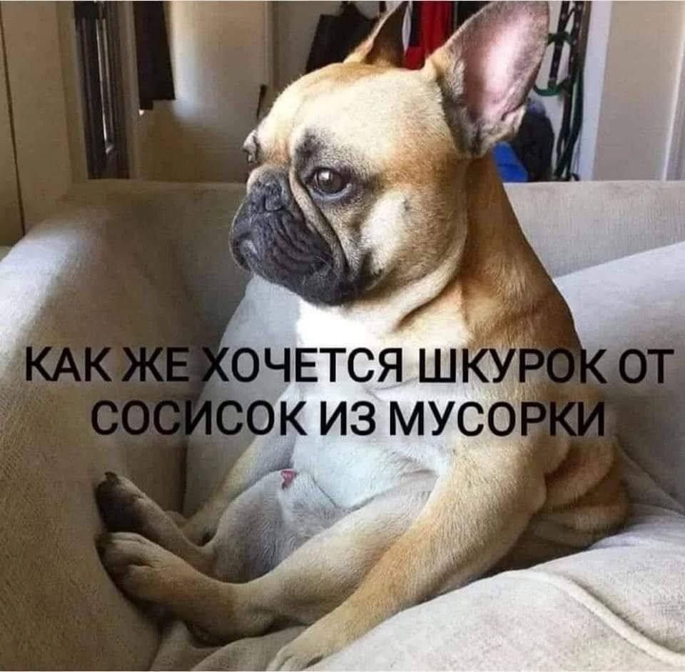 ***Victoria Viktorovna*** - 12  2025  04:04