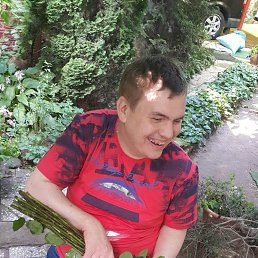 ���� ���������, ��������, 43 ���� - ��������� 3 ����� 2026