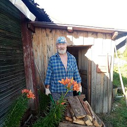 �����, ��������, 63 ����