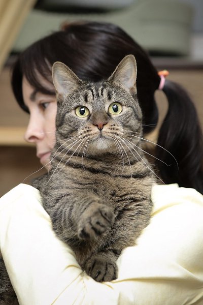 �����-���������.� ������ ����� ����� �������������� ���������!��������� ���������� ��������� ����. ... - 8