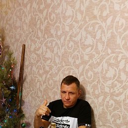 ����, 39 ���, �����-���������