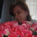 ���� �������, ��������� - ��������� 9 ����� 2026