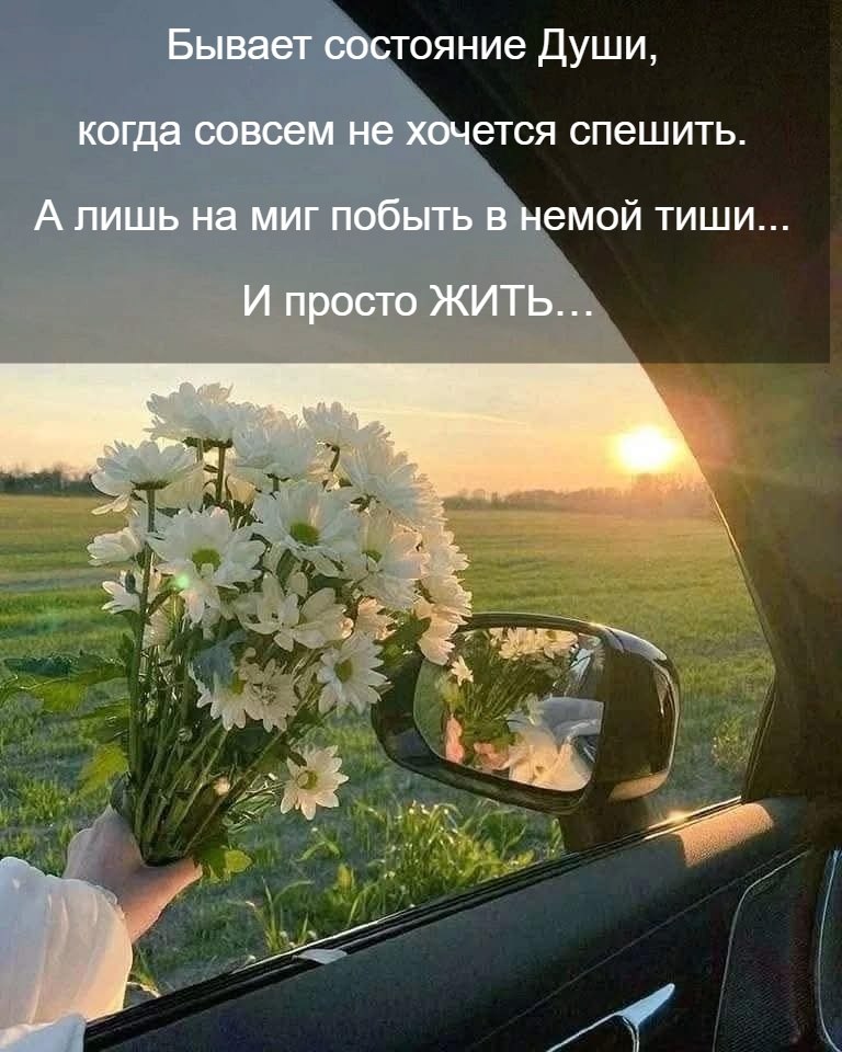   - 20  2025  06:42