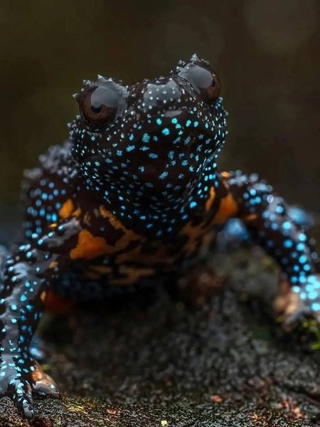 :)  -    ,        . ... - 2