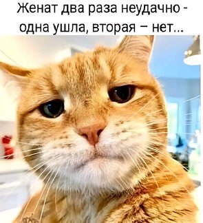   ! - 29  2025  10:39