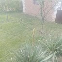 ���� ����, ������-��-����, 65 ��� - ��������� 11 ���� 2024 � ������ ���� ����������