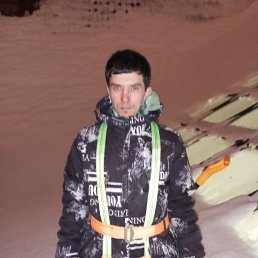 , 37, 