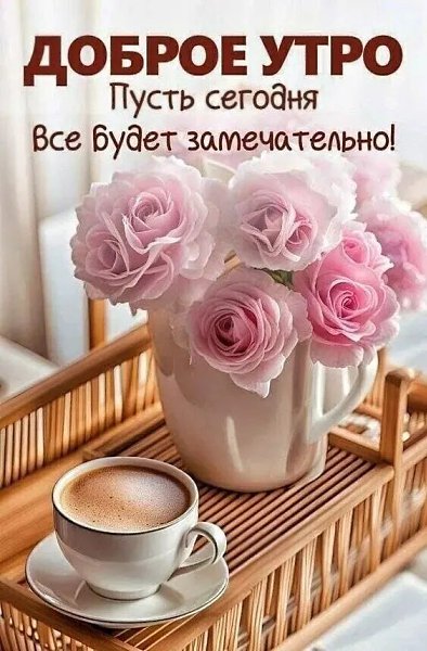 ***Victoria Viktorovna*** - 6  2025  03:20