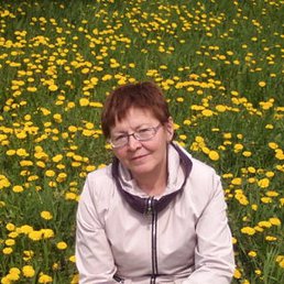 ������, ����������, 63 ����